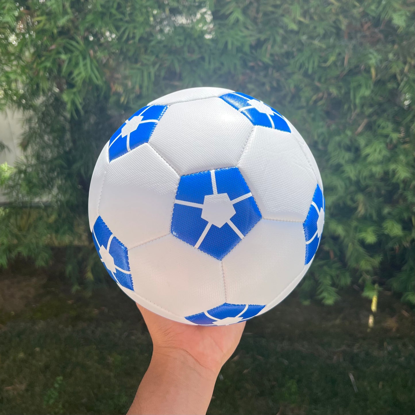 zBlue Lock Soccer Ball